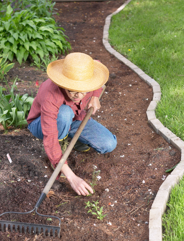 The author planting a flower bed