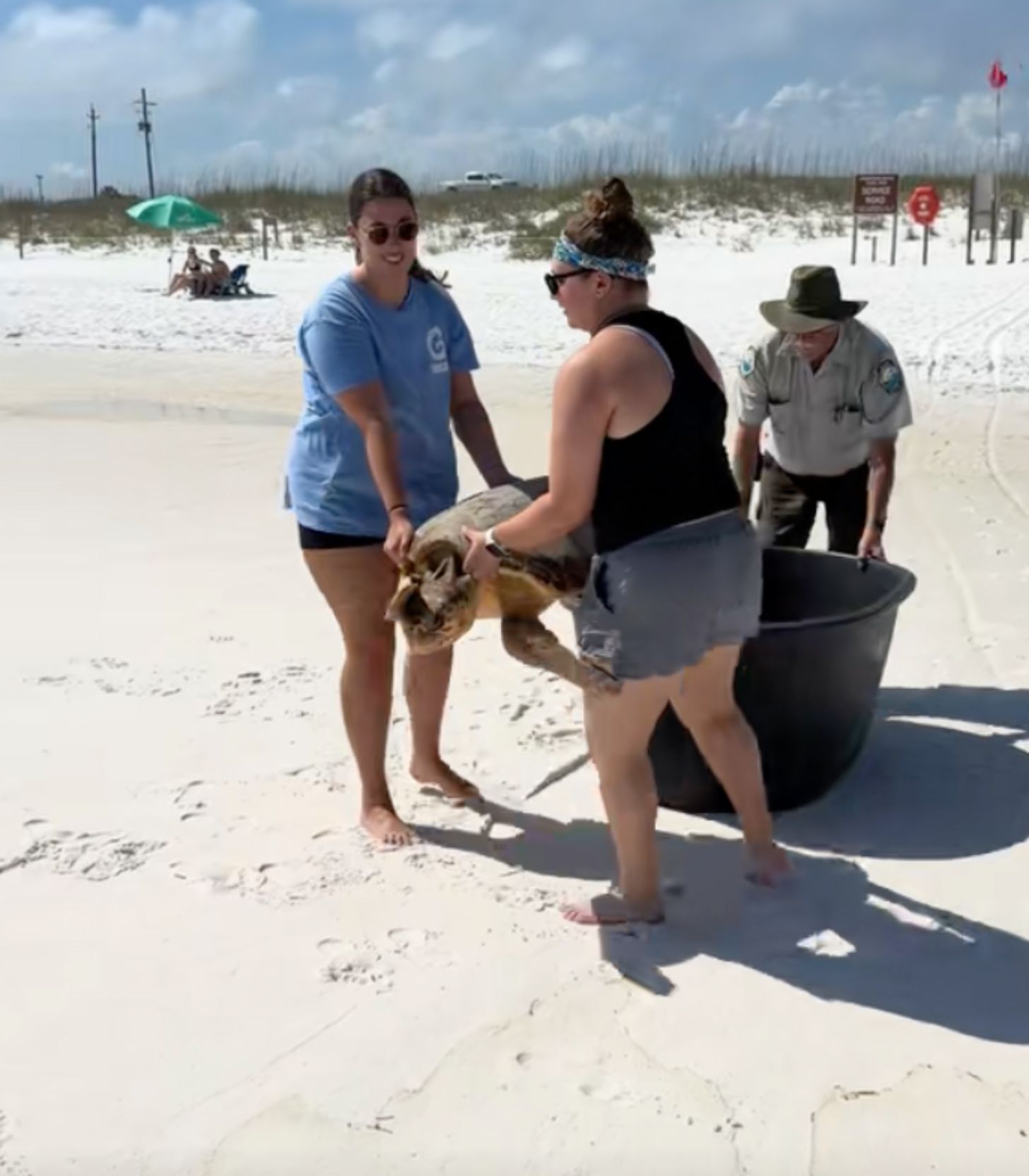 A sea turtle is carried by a team of women on a beach