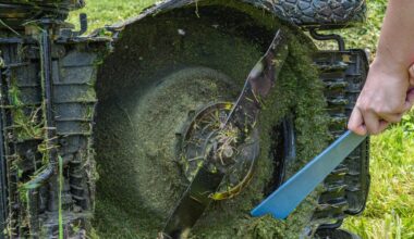 How To Sharpen Your Mower Blade Now For A Healthier Lawn This Summer