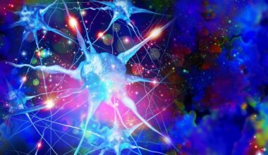Inside the Trippy Work of Psychedelic-Assisted Therapists