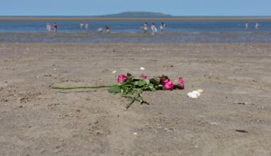 Teenage girl who died while swimming in Dublin is named – The Irish Times