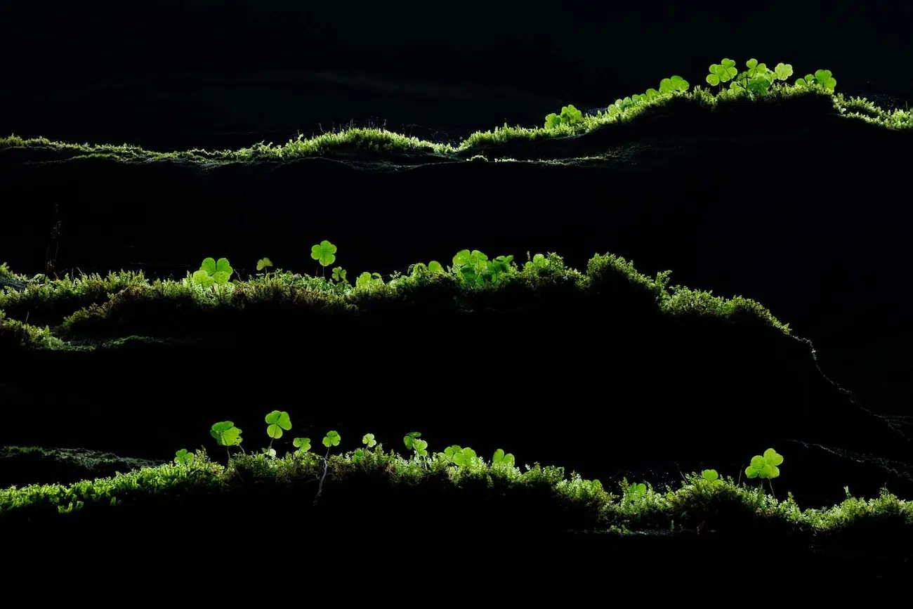 GDT Nature Photographer of the Year 2026