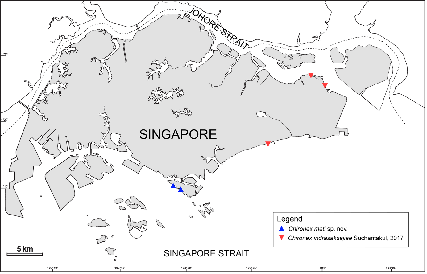 A map of Singapore showing the locations of five Chironex box jellyfish sightings.