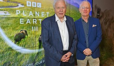 As David Attenborough turns 100, he’s been gifted the honour of being named after a ‘body-snatcher’ wasp