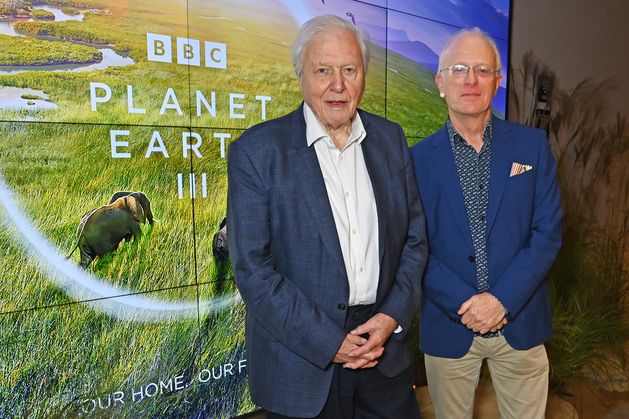 As David Attenborough turns 100, he’s been gifted the honour of being named after a ‘body-snatcher’ wasp