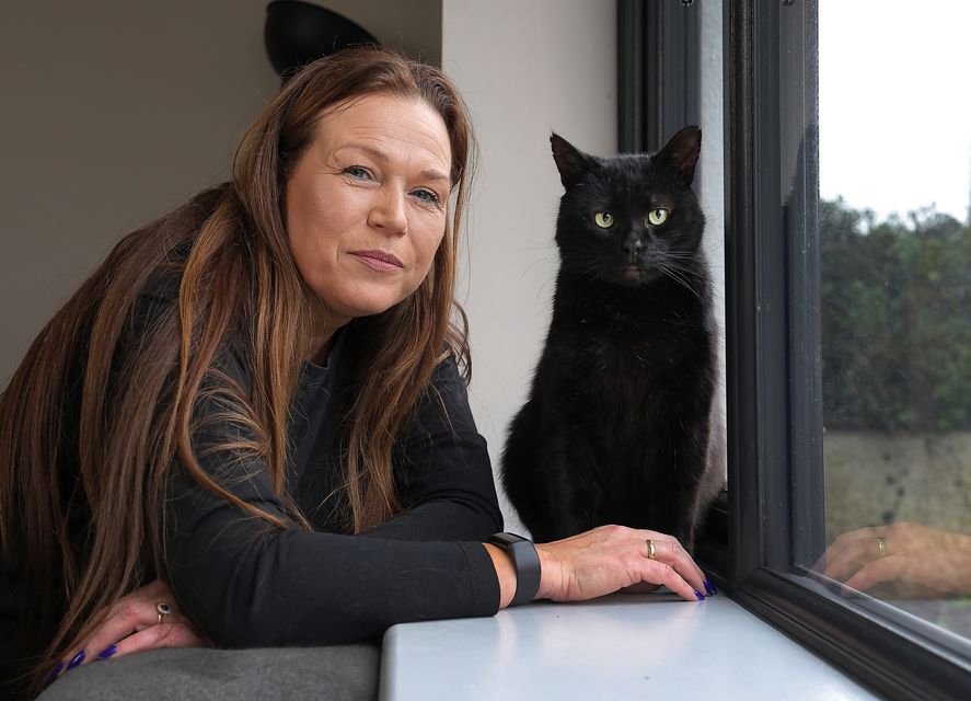 'Bruce looks after himself very well and loves grooming himself – a lot! Yes, he’s a very vain cat' - Louise O'Reilly on her cat Bruce. Photo: Frank McGrath
