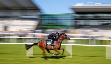 Four Wildcards Added to Tattersalls Ireland Breeze Up Sale