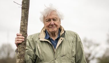 More David Attenborough and less Karl Marx would be good for the left – The Irish Times