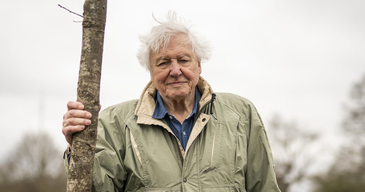 More David Attenborough and less Karl Marx would be good for the left – The Irish Times