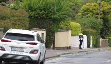 Man (30s) dies in hospital following assault in Blanchardstown – The Irish Times