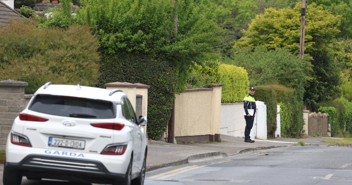 Man (30s) dies in hospital following assault in Blanchardstown – The Irish Times