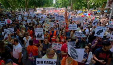 'We want neighbors, not tourists.' Madrid's renters march with message for the boom economy