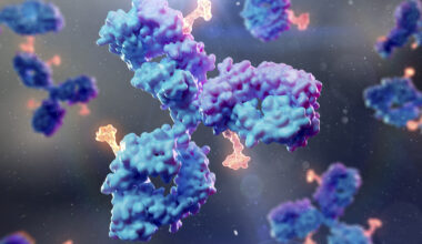 Scientists Develop New Antibody For Virus That Infects 95% of People : ScienceAlert