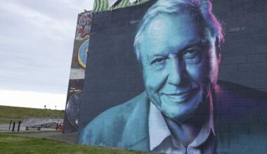 David Attenborough commemorated in Wicklow with striking seaside mural on 100th birthday