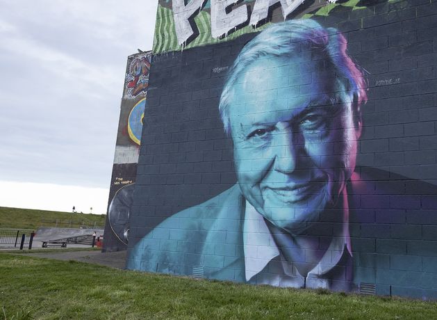 David Attenborough commemorated in Wicklow with striking seaside mural on 100th birthday