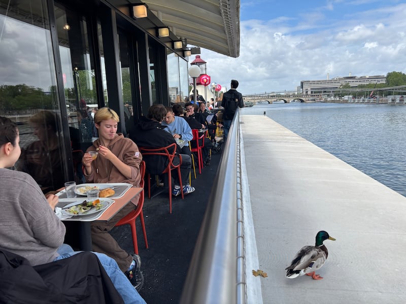 Wildlife are known to share the lunches at times with students. Photograph: Naomi O'Leary