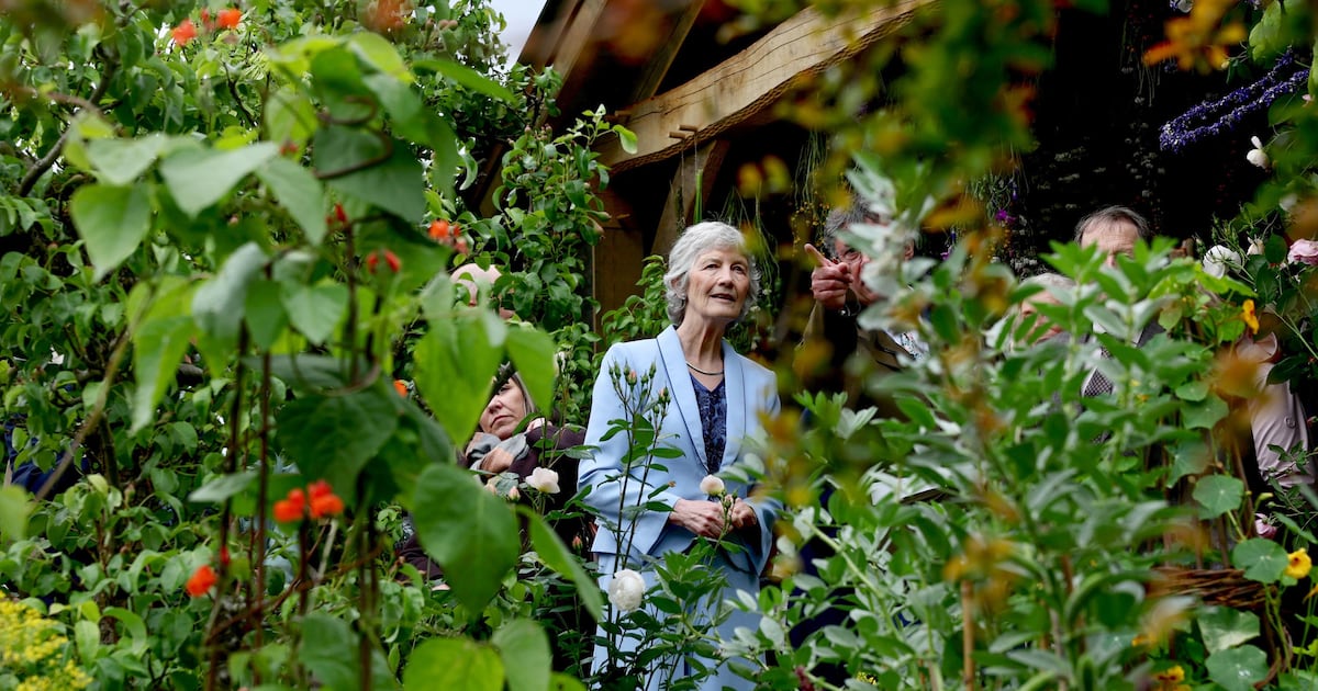 ‘A nice treat’: Catherine Connolly greeted by Irish gardeners at Chelsea Flower Show – The Irish Times