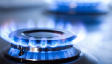 EU household gas prices up in the second half of 2025 - News articles