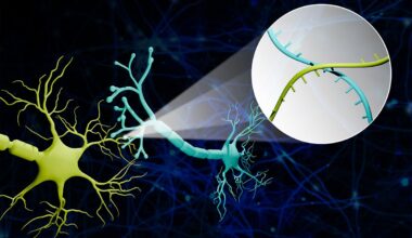 Commingling RNA Barcodes