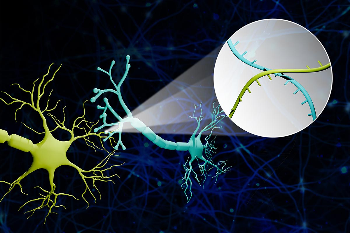 Commingling RNA Barcodes