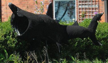 A seven-metre garden shark on Clontarf Road
