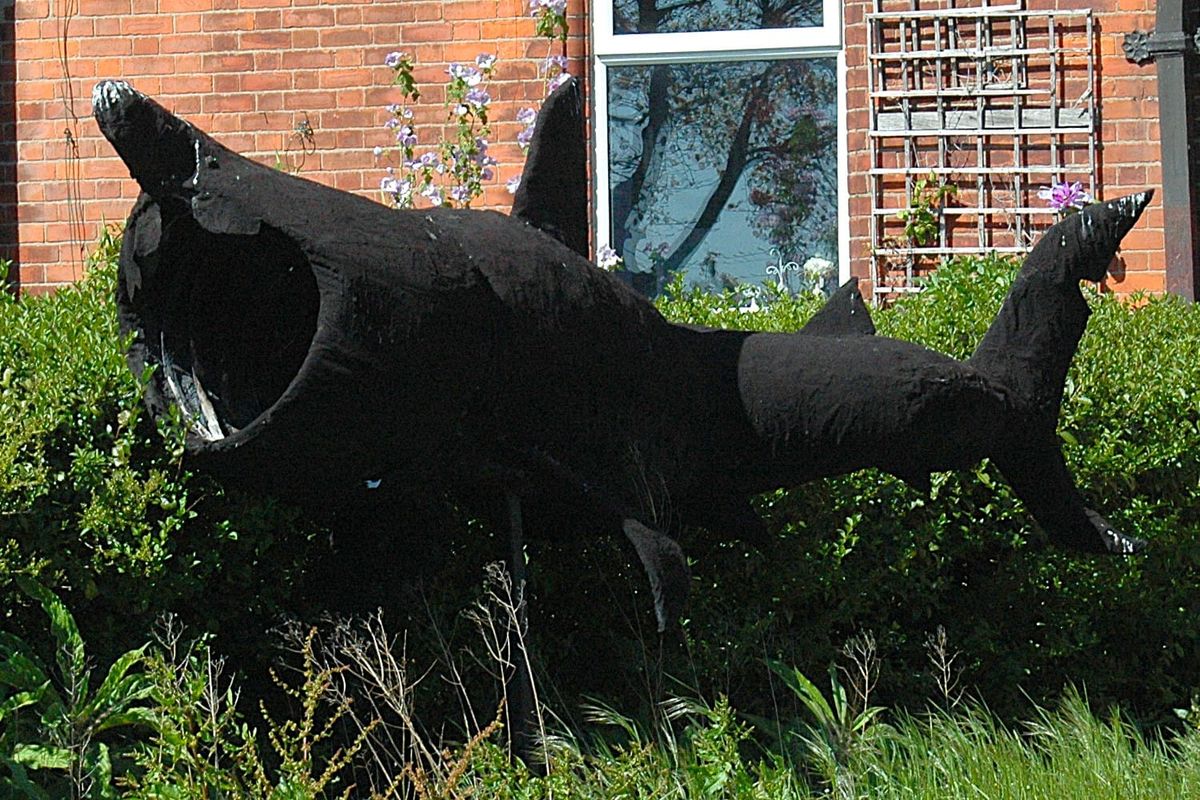 A seven-metre garden shark on Clontarf Road