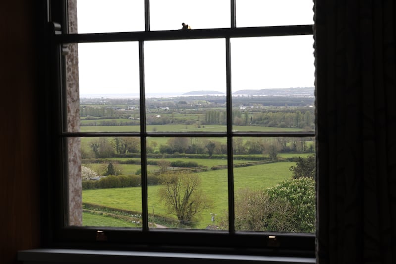 The couple received a €4,000 grant from the Irish Georgian Society for the Fineo sash windows. Photograph: Dara Mac Dónaill