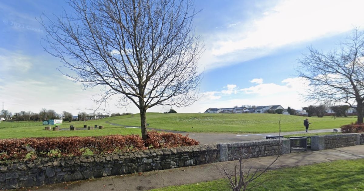 Gardaí search west Dublin park, targeting drugs supply and antisocial behaviour – The Irish Times