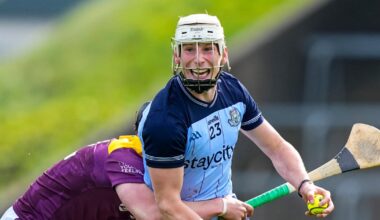 Gifted goals give Dublin comfortable victory at Wexford Park – The Irish Times