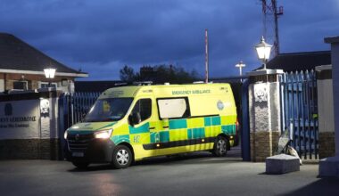 Two Irish passengers from hantavirus-hit cruise ship return home – The Irish Times