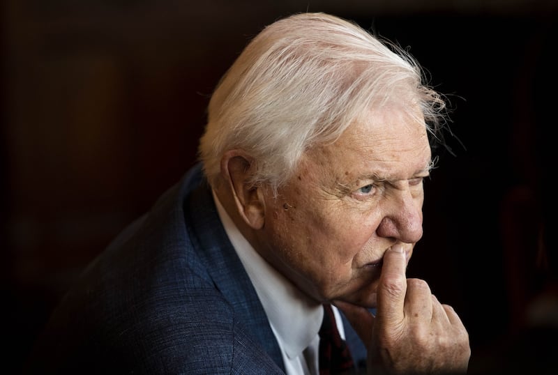 David Attenborough in conversation with members of the public from the inaugural UK-wide Climate Assembly, at the House of Commons, London, September 2021. Photograph: John Nguyen/PA Wire