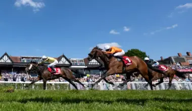 Chester Cup tips and runners guide to Friday 3.05 – Paddy Power News