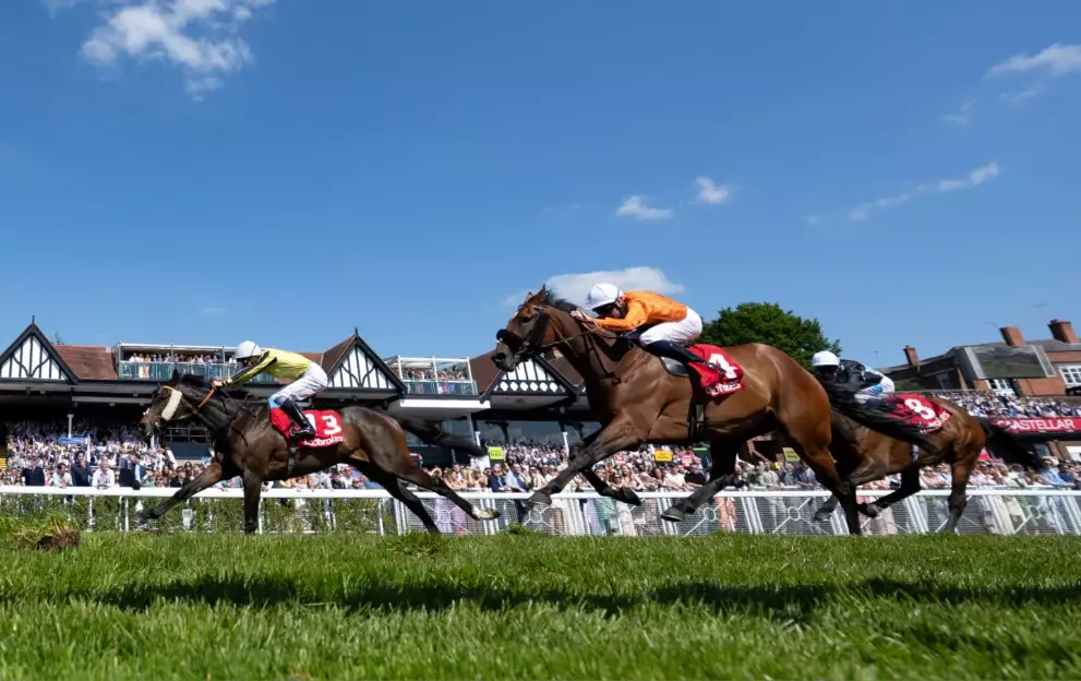 Chester Cup tips and runners guide to Friday 3.05 – Paddy Power News