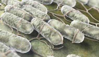 Supermarket chicken products withdrawn over salmonella fears – The Irish Times