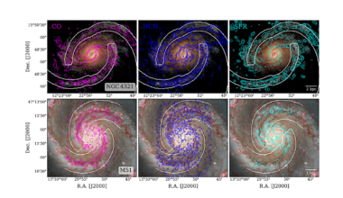 From Gas To Stars Along The Spiral Wave: CO, HCN, And Star Formation Variations Across The Spiral Arms In NGC 4321 And M51
