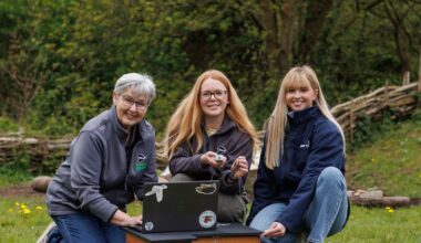 First project tracking hedgehogs in Northern Ireland aims to help protect their future – The Irish Times