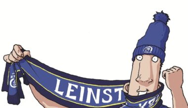 Ross O’Carroll-Kelly: ‘Nobody can say I haven’t put my body on the line for this Leinster team’ – The Irish Times