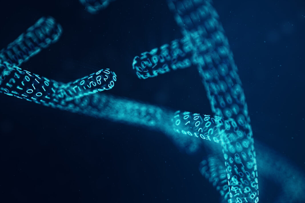 Gene Syntax Determines DNA Supercoiling and Modulates Gene Expression