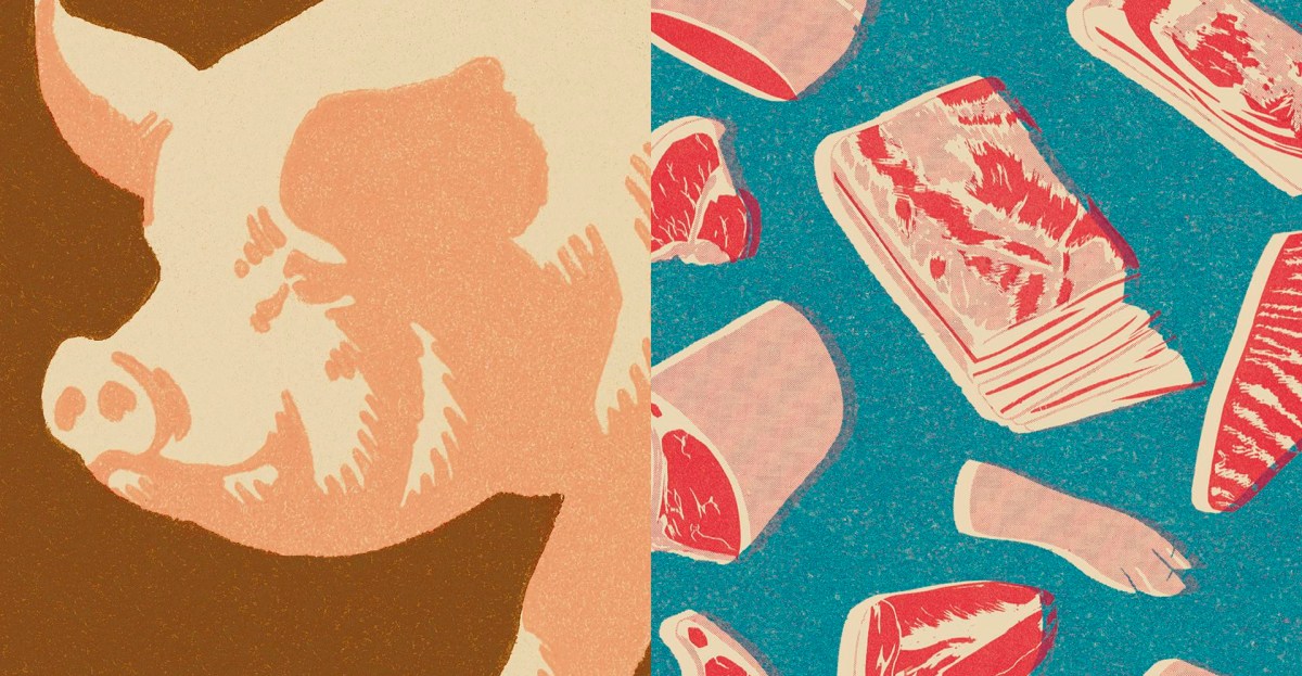 What is the “meat paradox”? Why we don’t want animals harmed but won’t stop eating them.