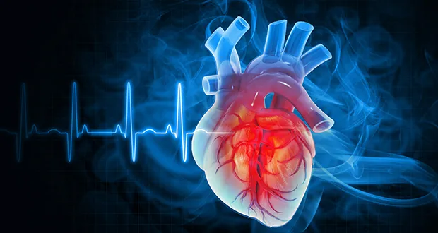 cardiovascular disease
