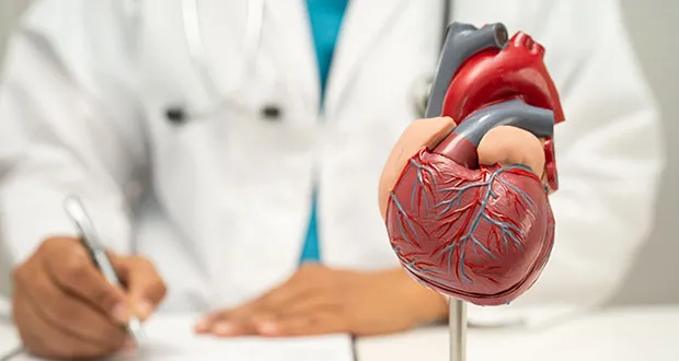cardiorenal