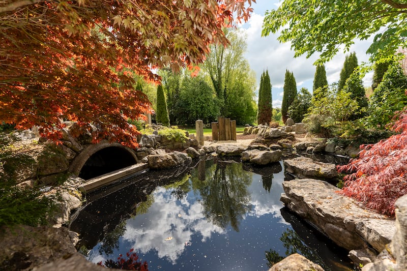 Garden pond
