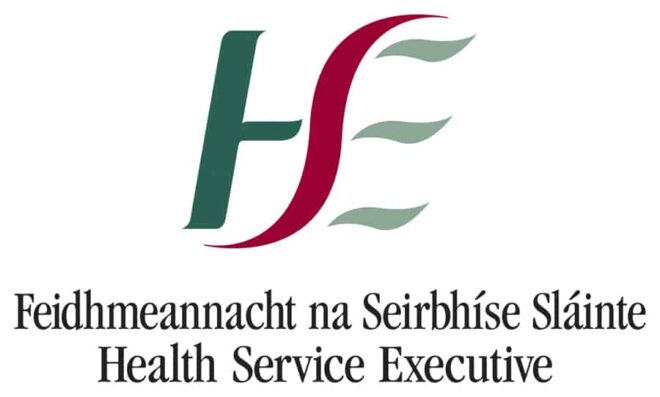 HSE logo 2 e1621272035148