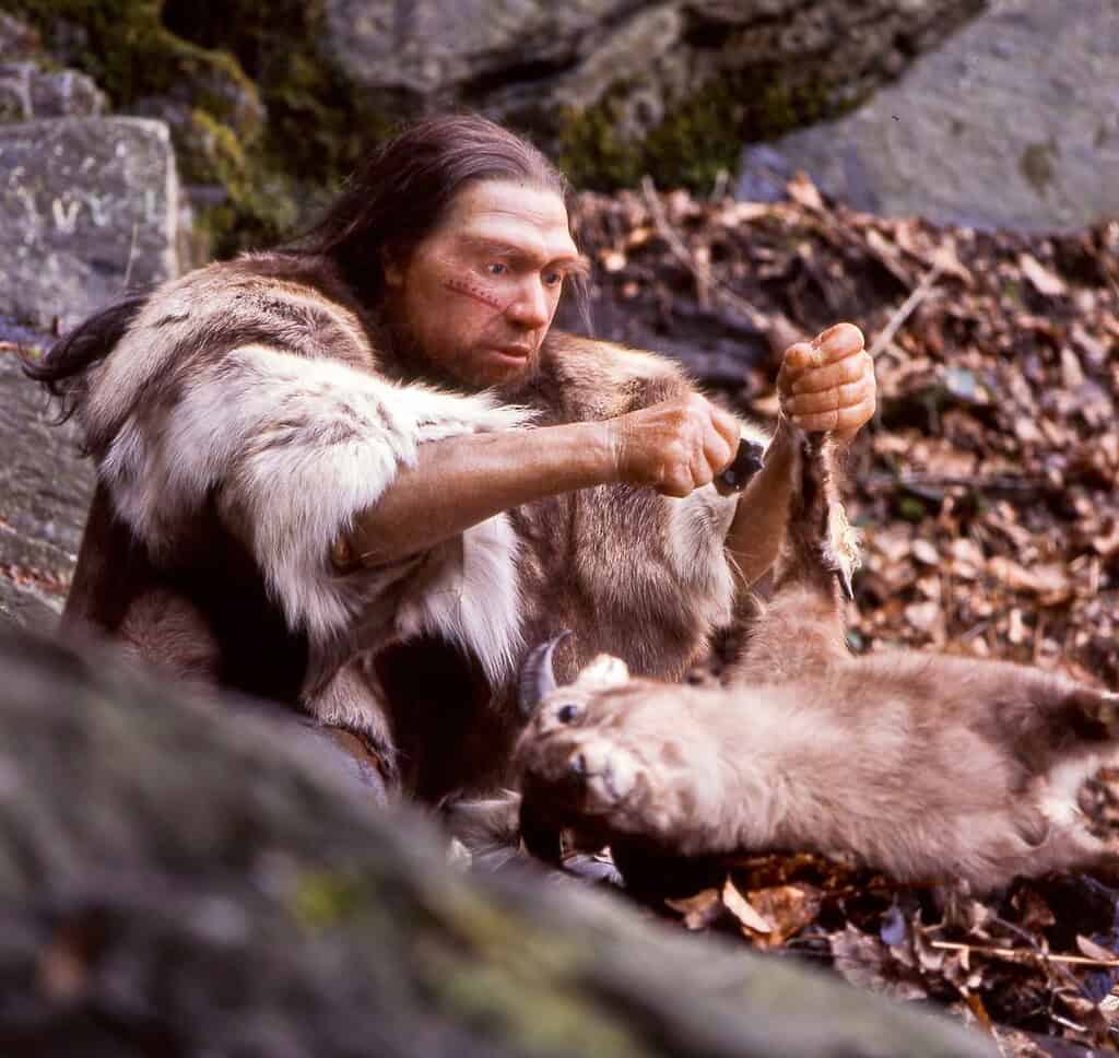 Ancient human with fur clothing hunting and preparing animals in a forest setting