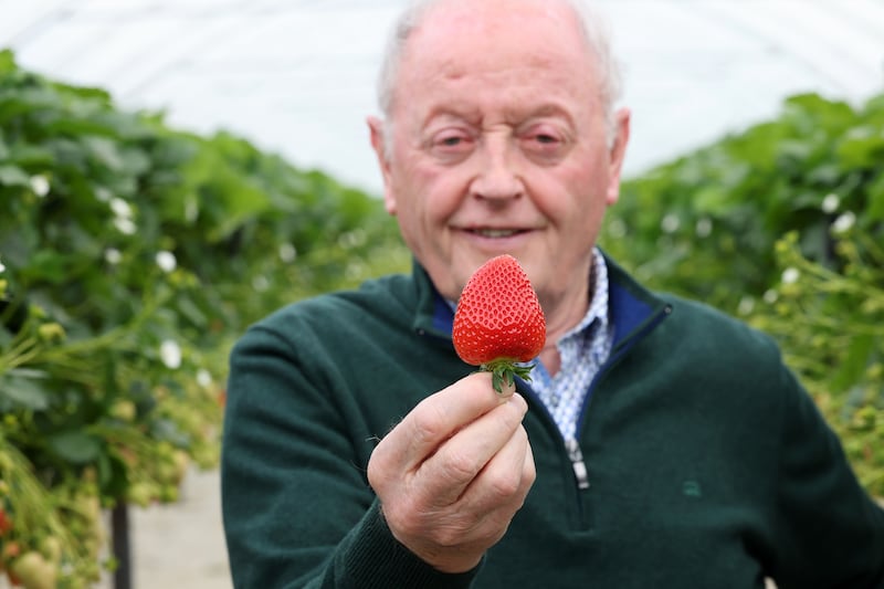 Pat Clarke, owner of Clarke's Fresh Fruit in Stamullen, Co Meath. Photograph: Alan Betson/The Irish Times


