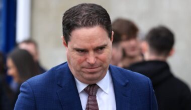 Vet found to have engaged in ‘intimidating’ behaviour appointed to State board – The Irish Times