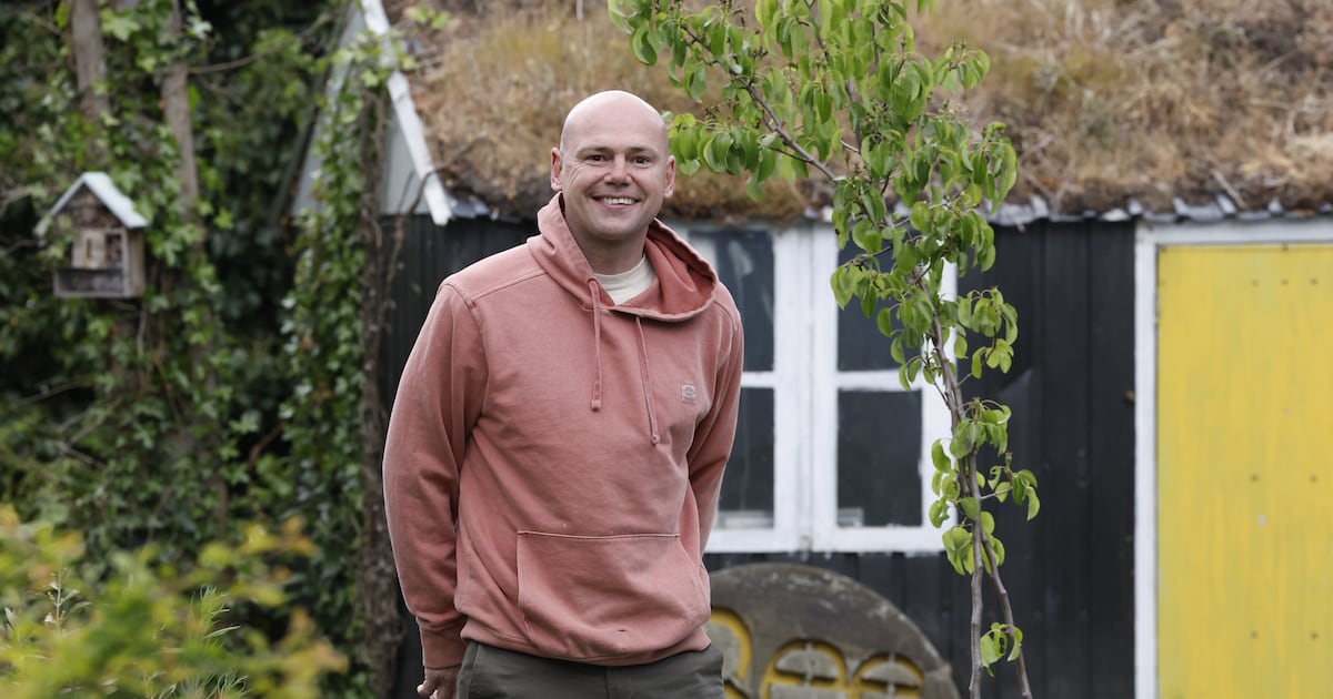 The ‘accidental beekeeper’ in Ireland’s most nature-deprived neighbourhood – The Irish Times