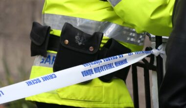 Man apologises to his family for murdering his mother in Cavan home – The Irish Times