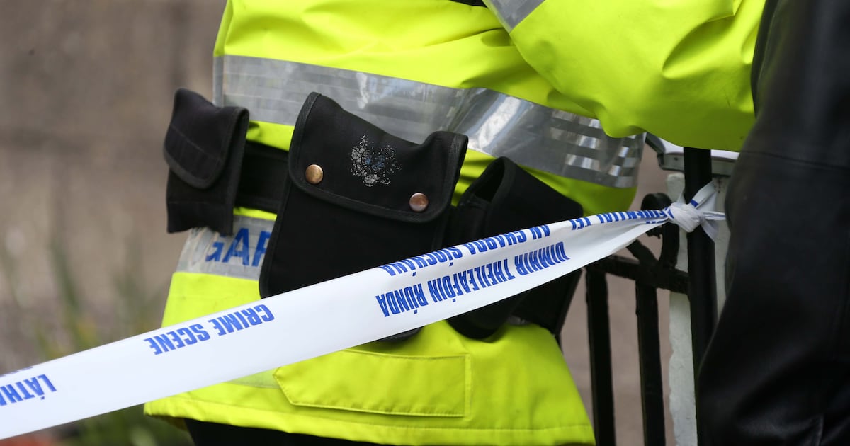 Man apologises to his family for murdering his mother in Cavan home – The Irish Times