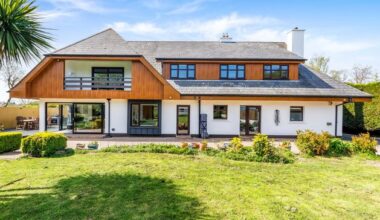 Pioneering Scandi home in Meath is now two homes in one